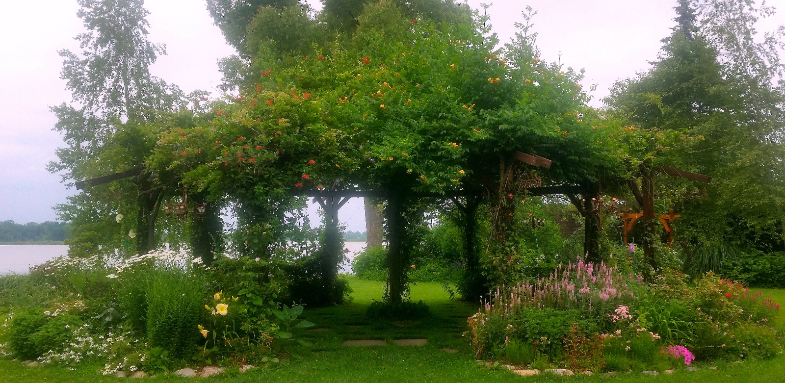 Canopy is red and yellow Trumpet Vine; flowerbeds are Gaura, Delphinium, Petunia, Daisy, Veronica, Roses, Clematis and Daylily